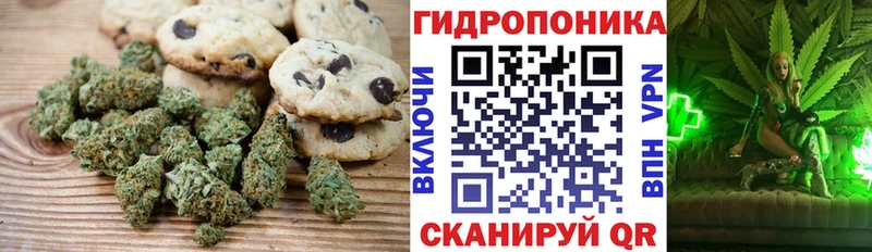 Canna-Cookies марихуана  hydra ССЫЛКА  Олёкминск 