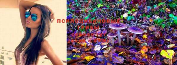 хмурый Баксан