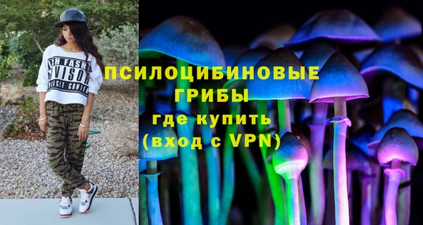 мет Осташков