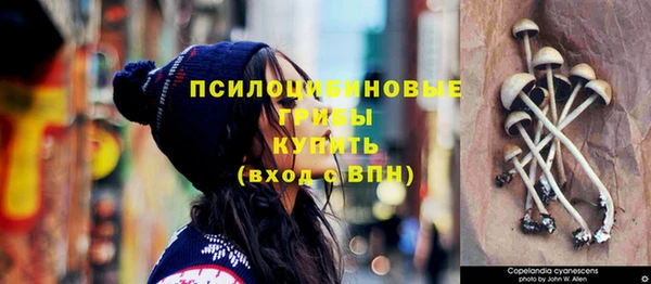 прущий лед Балабаново